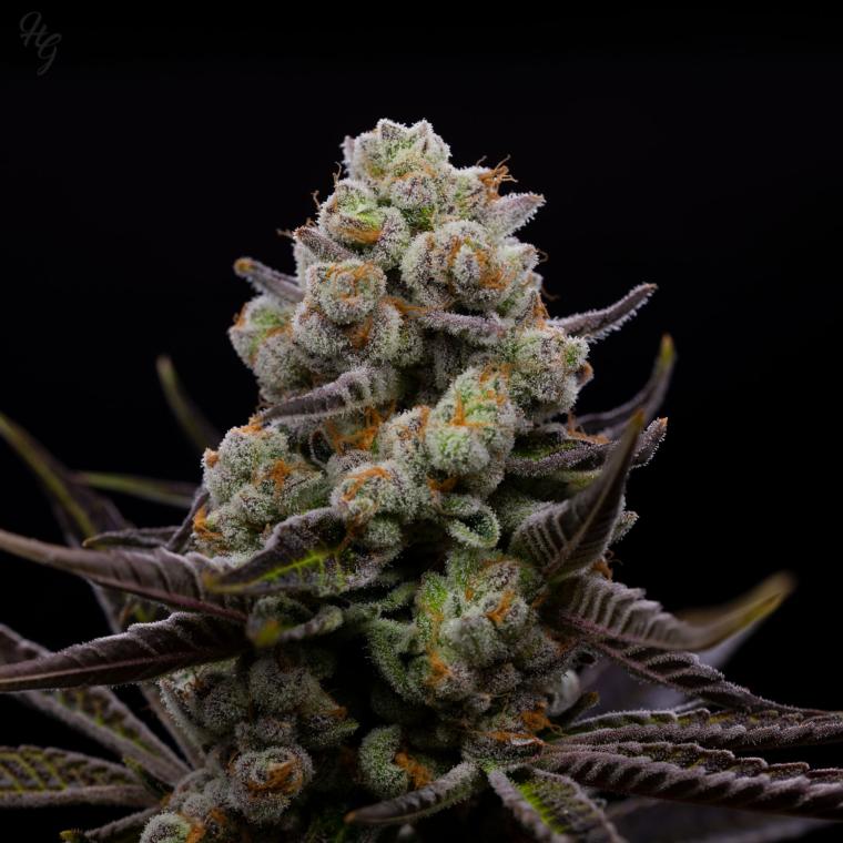 Click to view details