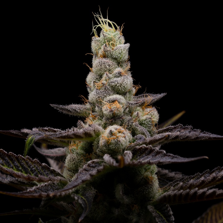 Click to view details