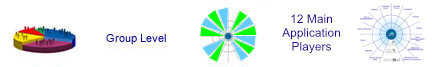 Group level - 12 main application player groups plus banks and flex grid tie-ins
